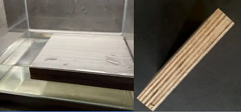 Laminate Kitchen Cabinets 22 PA Plywood Board