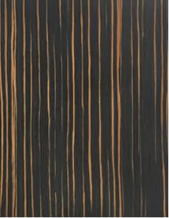 Wood Veneer Cabinets 23 wood-veneer-7.jpg