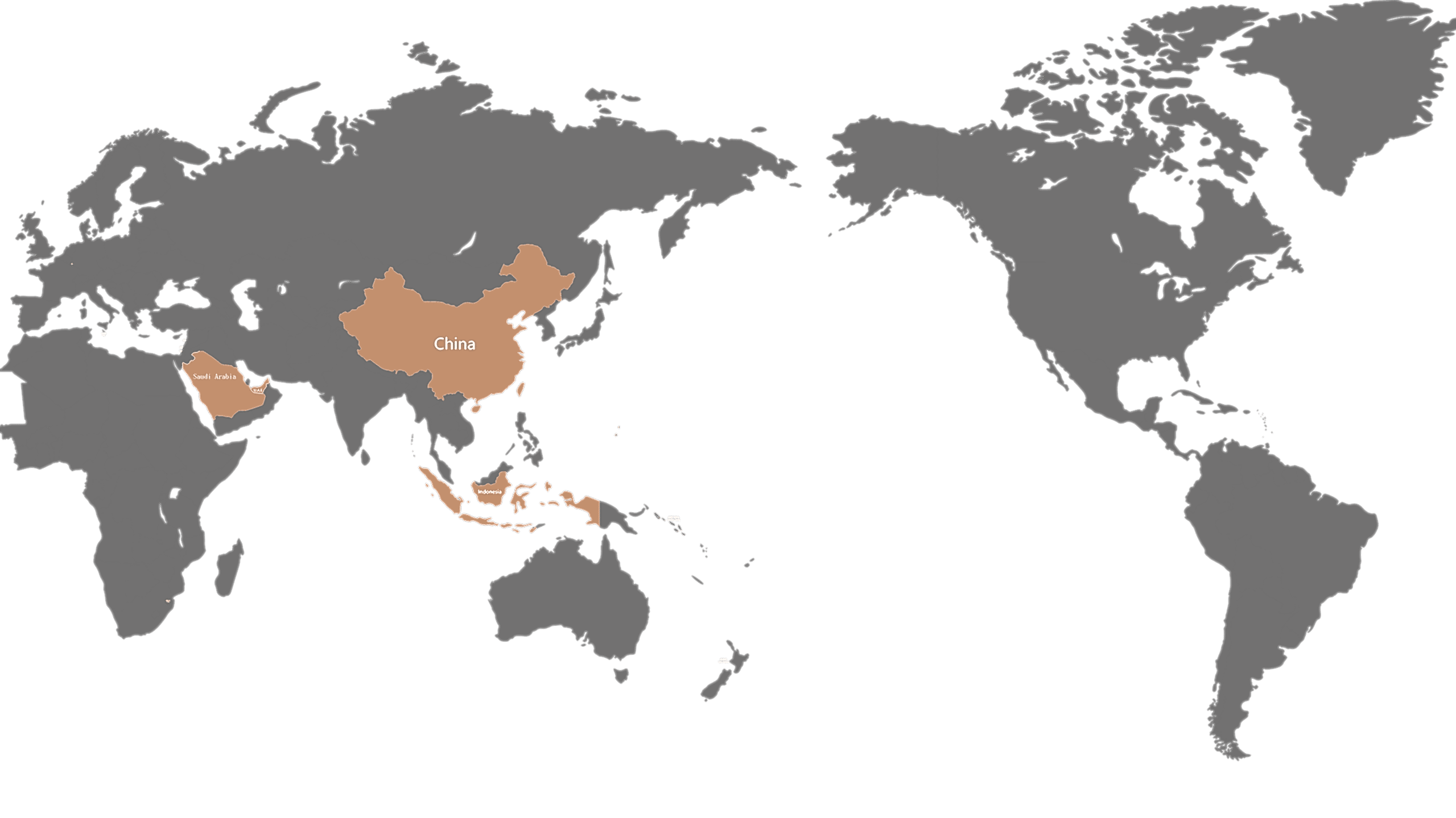 Become a Dealer 2 PA-Global-Presence-and-Localized-Services-Map