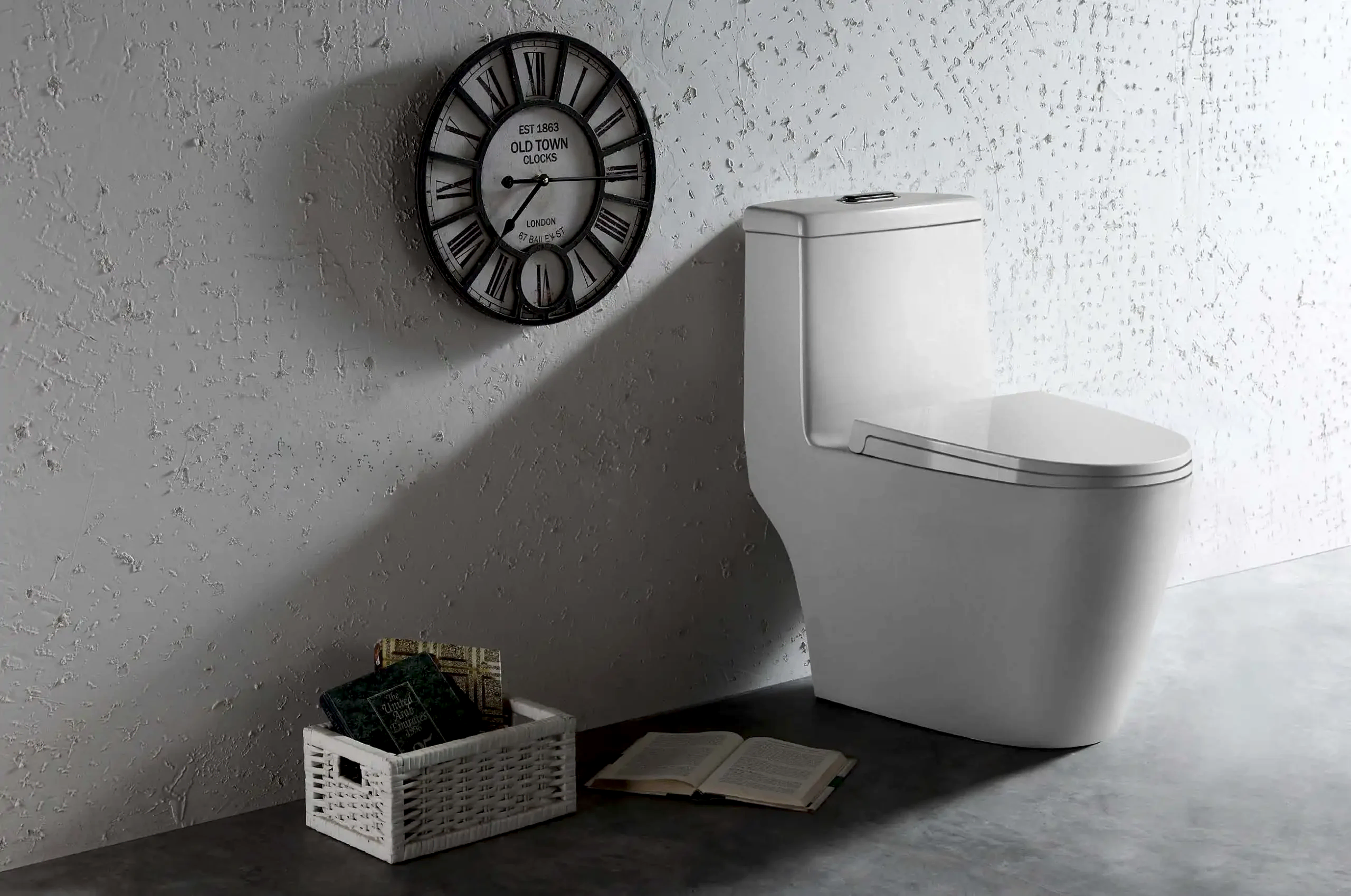 Sanitary Ware 9 Sleek one piece toilet design with a modern look from a top sanitary ware manufacturer scaled 1